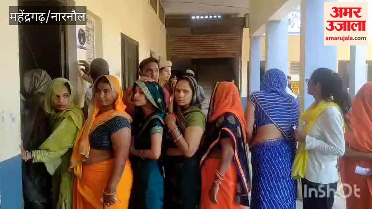 Enthusiasm among voters in the collegium elections of Saini Sabha