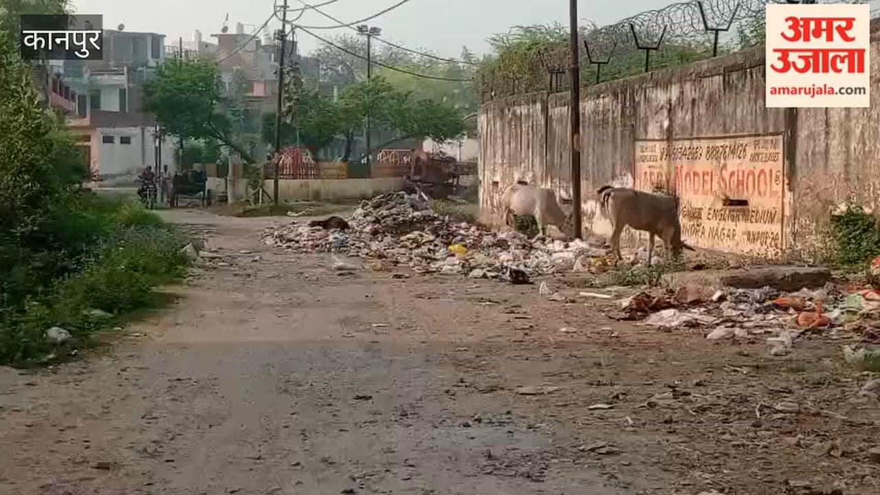 Kanpur: Cleanliness drive in Akbarpur has run aground