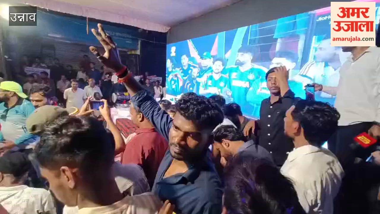 Unnao: Cricket fans' passion was evident in the T20 World Cup final, with fireworks galore