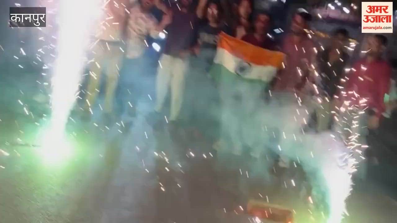India's T20 World Cup win sparked celebrations