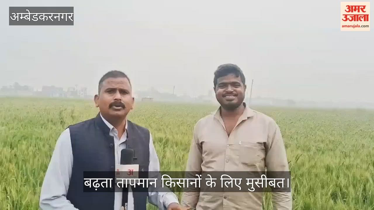 अंबेडकरनगर में धुंध और बदली के बीच चली तेज हवा, बढ़ता तापमान किसानों के लिए मुसीबत
