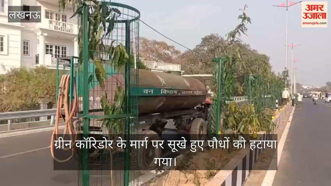 Video: ग्रीन कॉरिडोर के मार्ग पर सूखे हुए पौधों को हटाया गया
