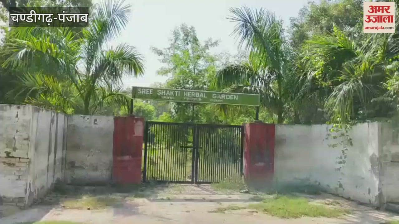Shri Shakti Herbal Garden of Firozpur Railway Division turns into a forest