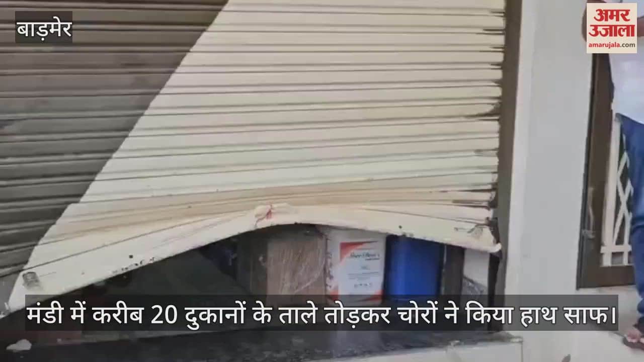 Barmer News: Thieves Strike Barmer Agricultural Market, Break Locks of 20 Shops and Loot Goods Worth Lakhs
