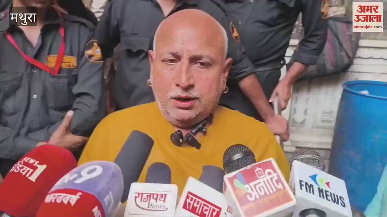 bearded snake is protecting the treasure of the Bihari temple Goswami said