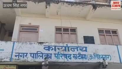 Bhim Army holds dharna over stray animals in Khatima