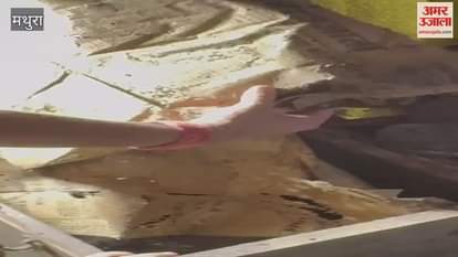 Open treasure of Banke Bihari temple in mathura