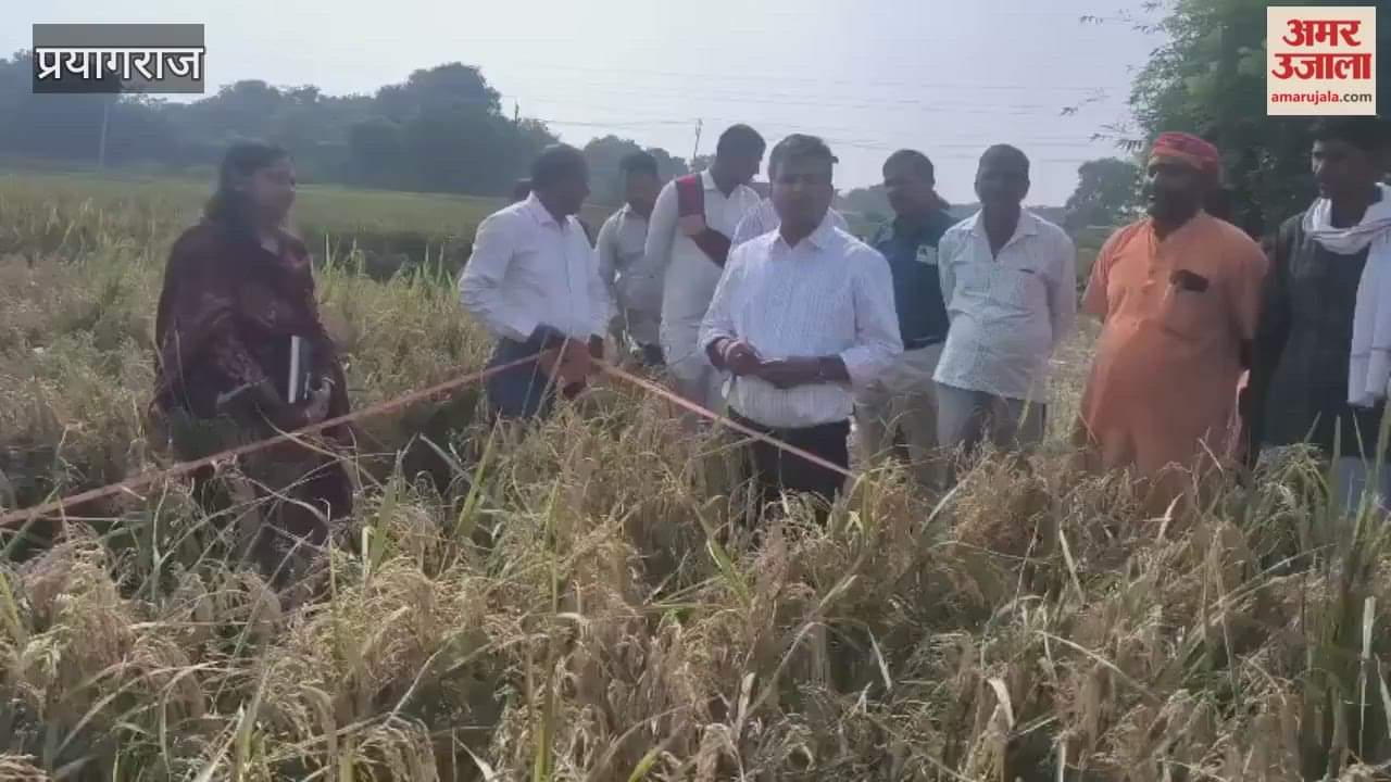 Crop cutting, production and productivity assessment done under PM Fasal Bima Yojana