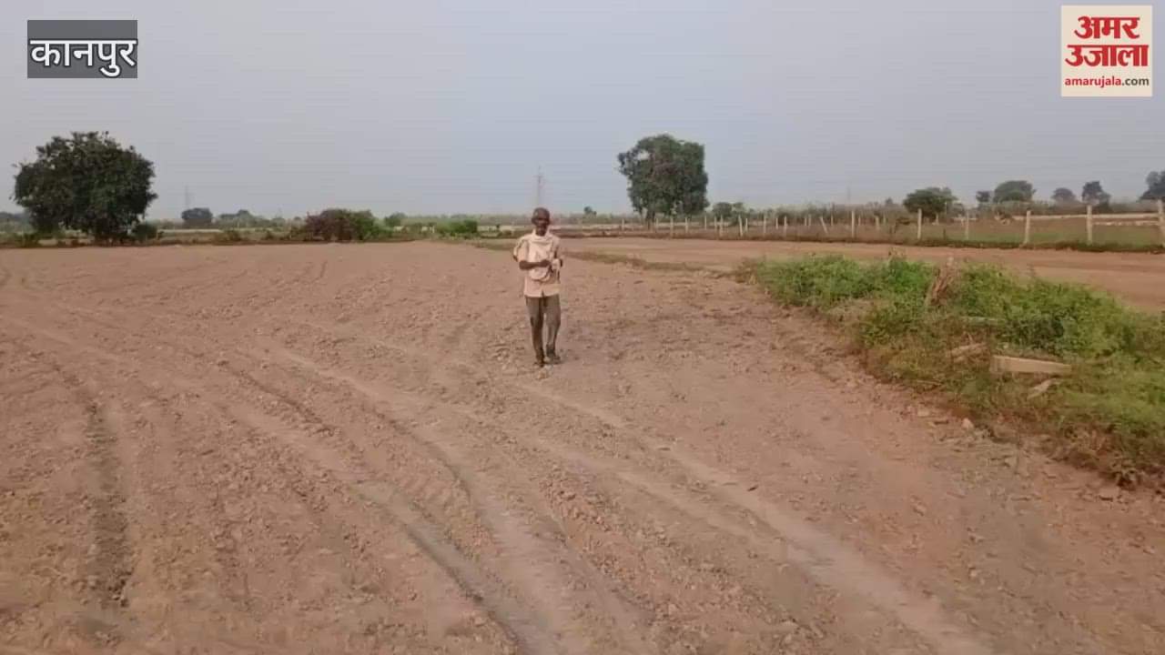 Kanpur: Farmers begin sowing wheat