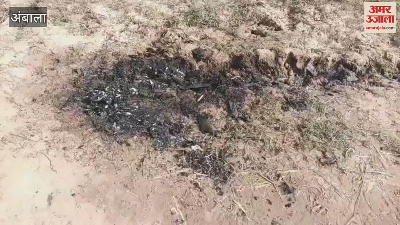 The half-burnt body of a young woman was found in a field in a village bordering Punjab in Ambala.