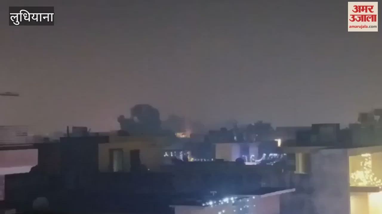 There was a lot of fireworks in Ludhiana  on the night of Diwali.