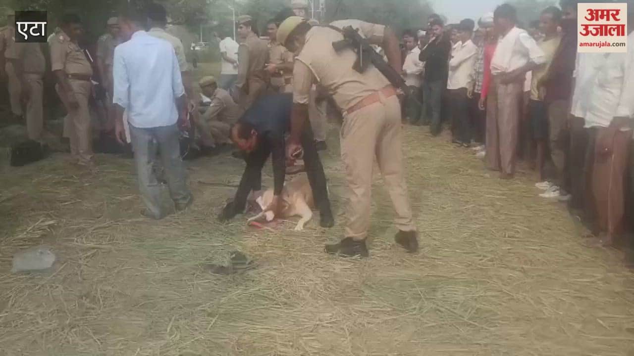 18-Year-Old Found Dead in Paddy Field in Etah