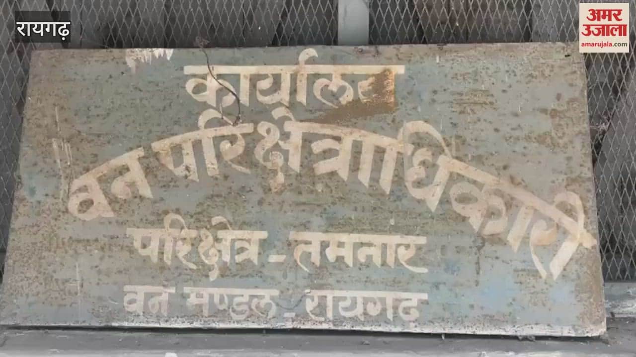 Three people including former district panchayat member arrested in connection with death of elephant in Raigarh