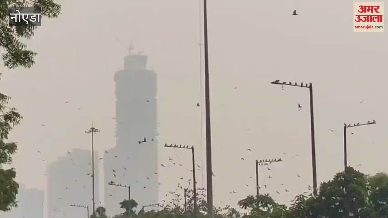 Noida Grape rules are mixing with poison in air