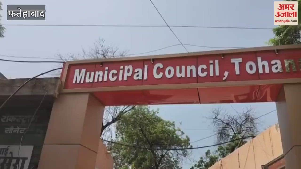 Illegal flexes installed in Tohana, Fatehabad are spoiling the beauty of the city