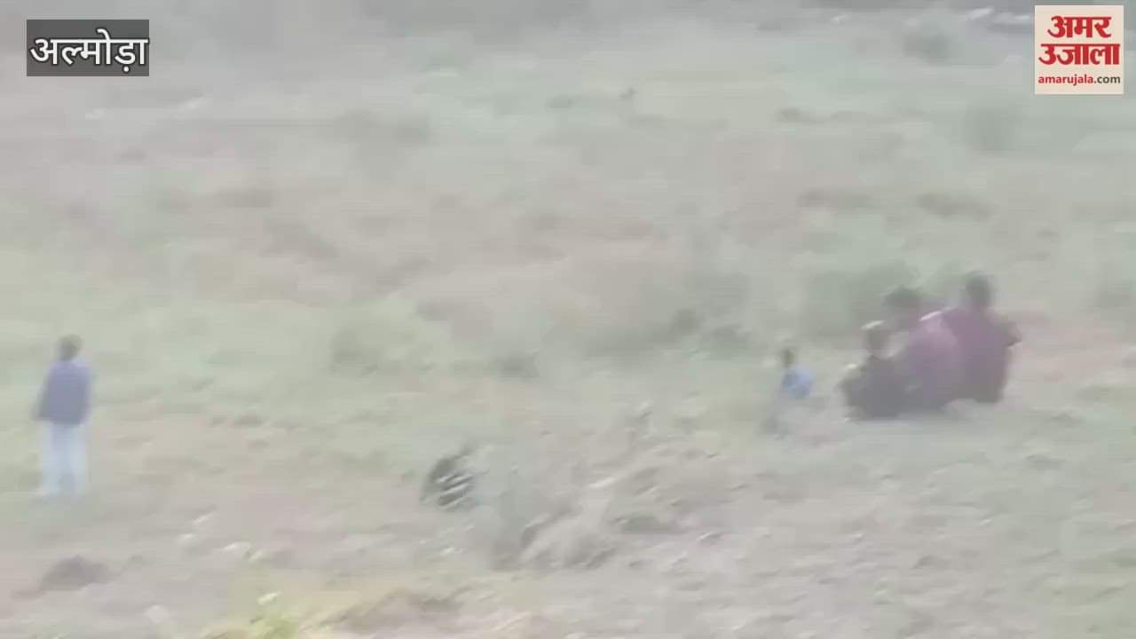 Bagwal took place in Patia