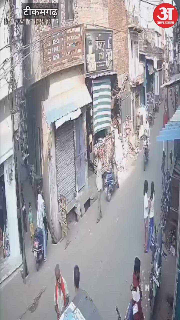 Tikamgarh News: Terror of stray dogs, two children attacked