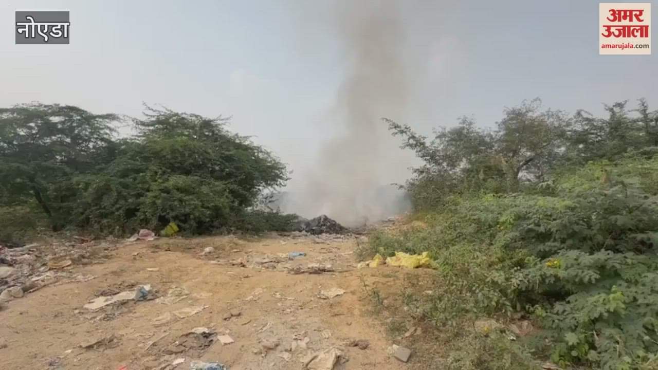 Garbage fire in Greater Noida s Delta 3 and dust rising from dilapidated road in Surajpur