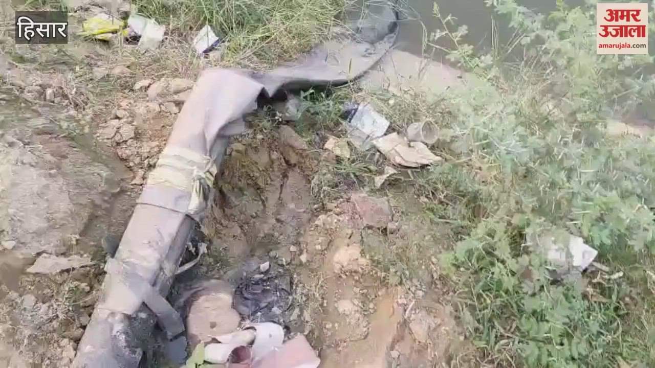 Hisar residents' health compromised, sewer water in canal and canal water in water tank