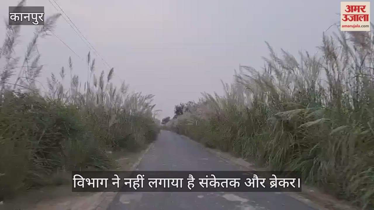 कानपुर के भीतरगांव में पीडब्लूडी की लापरवाही, नहर पुल के घुमावदार मोड़ पर ऊंची झाड़ियां बनीं हादसे की वजह