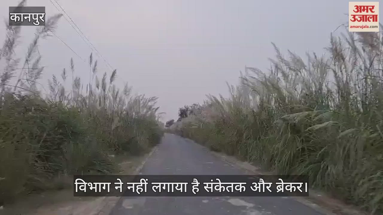 कानपुर के भीतरगांव में पीडब्लूडी की लापरवाही, नहर पुल के घुमावदार मोड़ पर ऊंची झाड़ियां बनीं हादसे की वजह