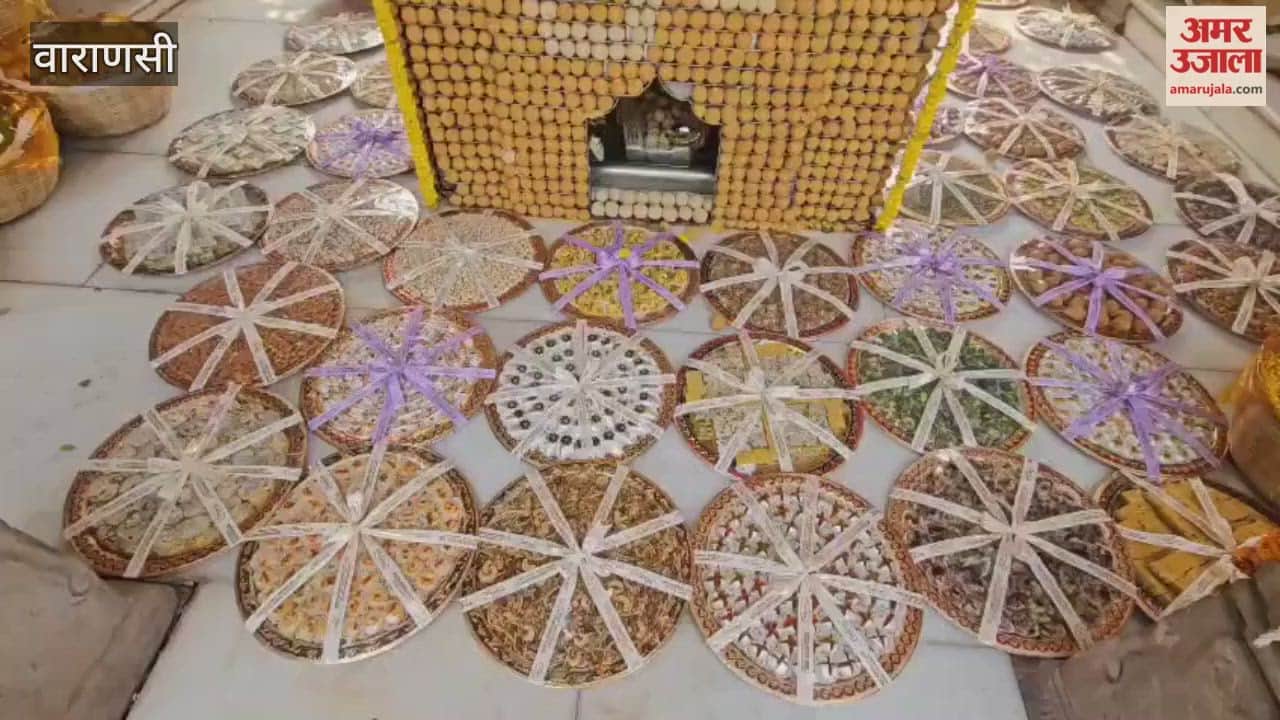 Annakut Festival in Vishwanath Dham VIDEO