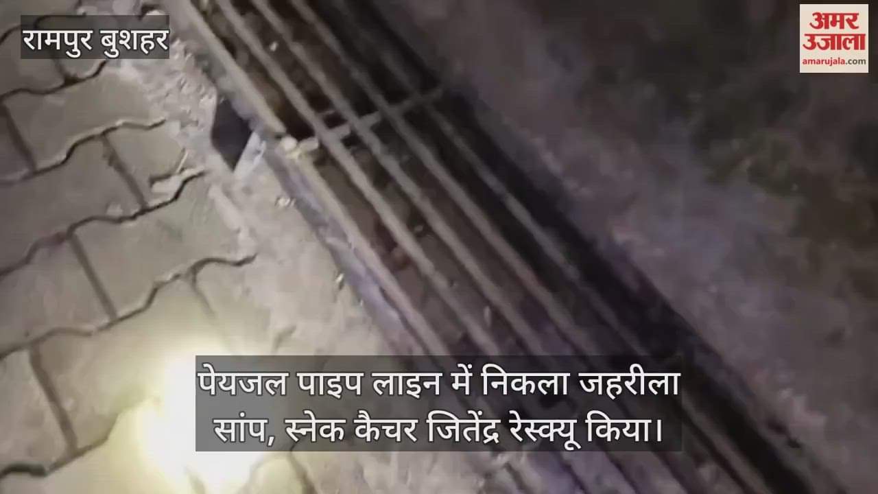 poisonous snake was found in a drinking water pipeline, rescued by snake catcher Jitendra.