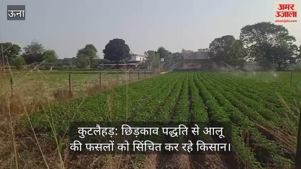 Kutlahar: Farmers are irrigating potato crops through the sprinkler method.