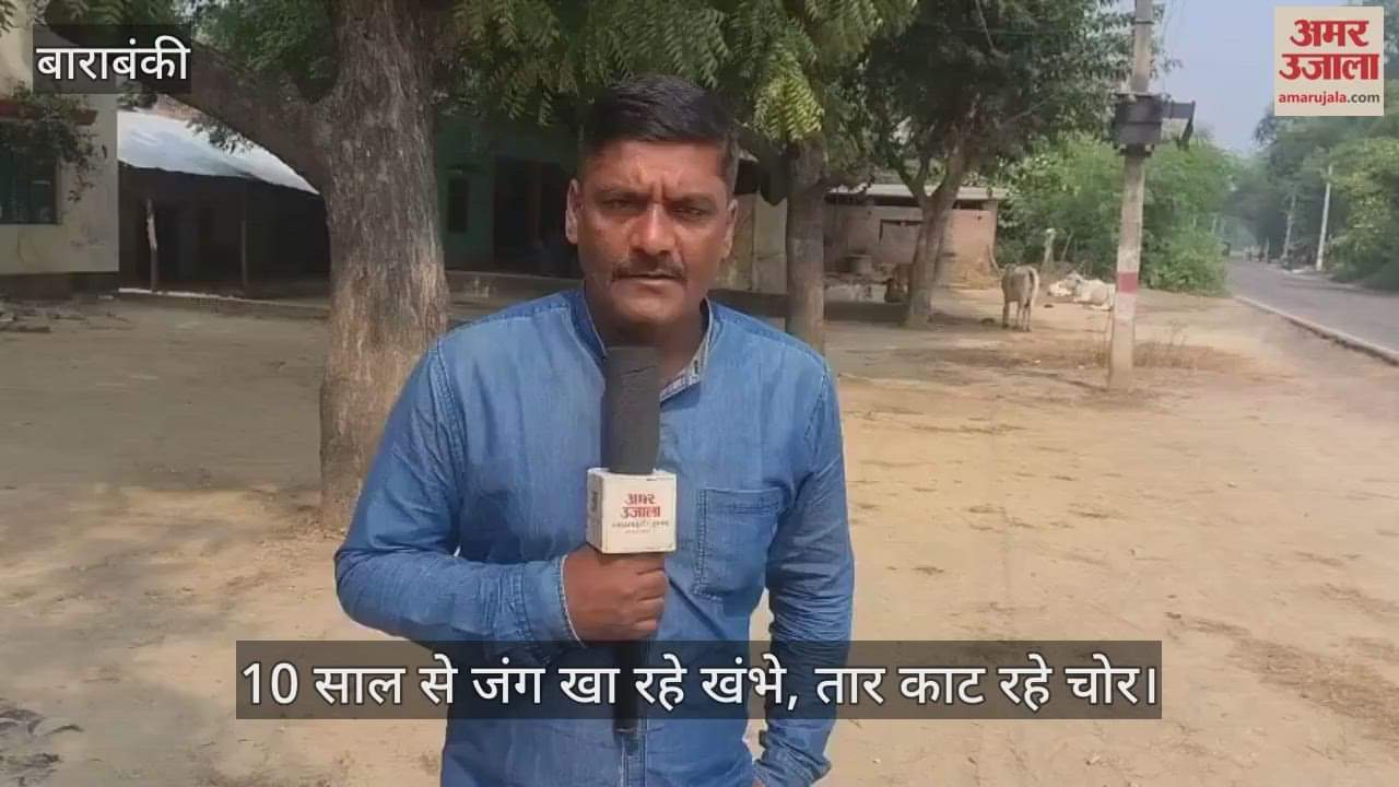 VIDEO: करोड़ों रुपए की एचटी लाइन, लेकिन नहीं बही एक भी यूनिट बिजली: 10 साल से जंग खा रहे खंभे, तार काट रहे चोर