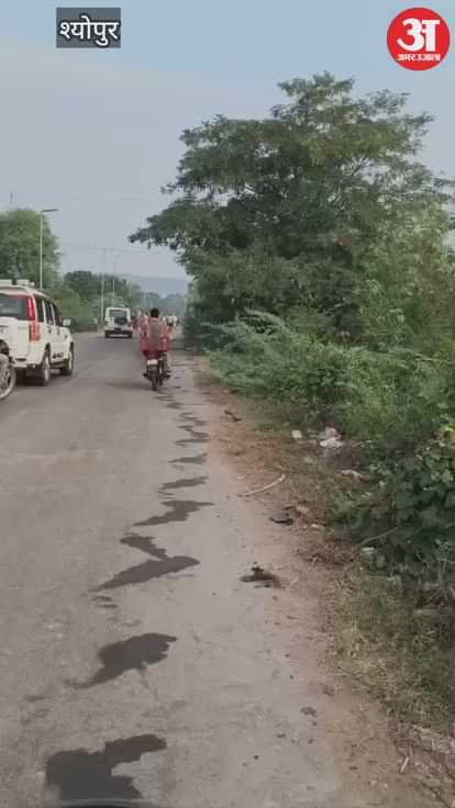 The sand mafia's terror forced the administration to run for 8 kilometers