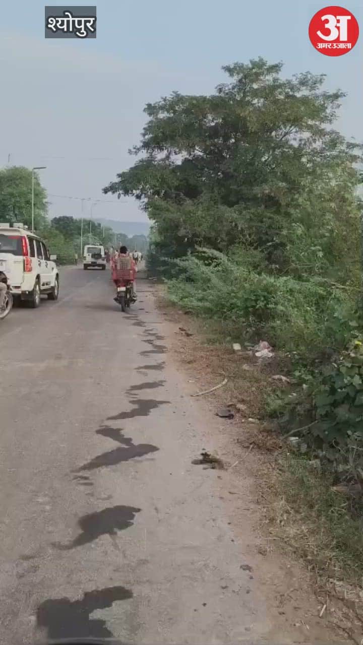 The sand mafia's terror forced the administration to run for 8 kilometers