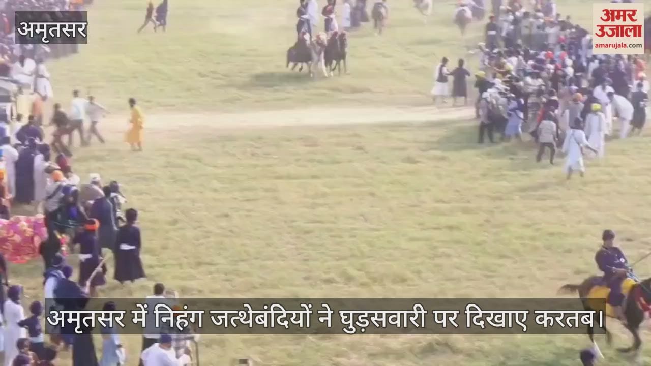 Nihang groups performed horse riding stunts in Amritsar