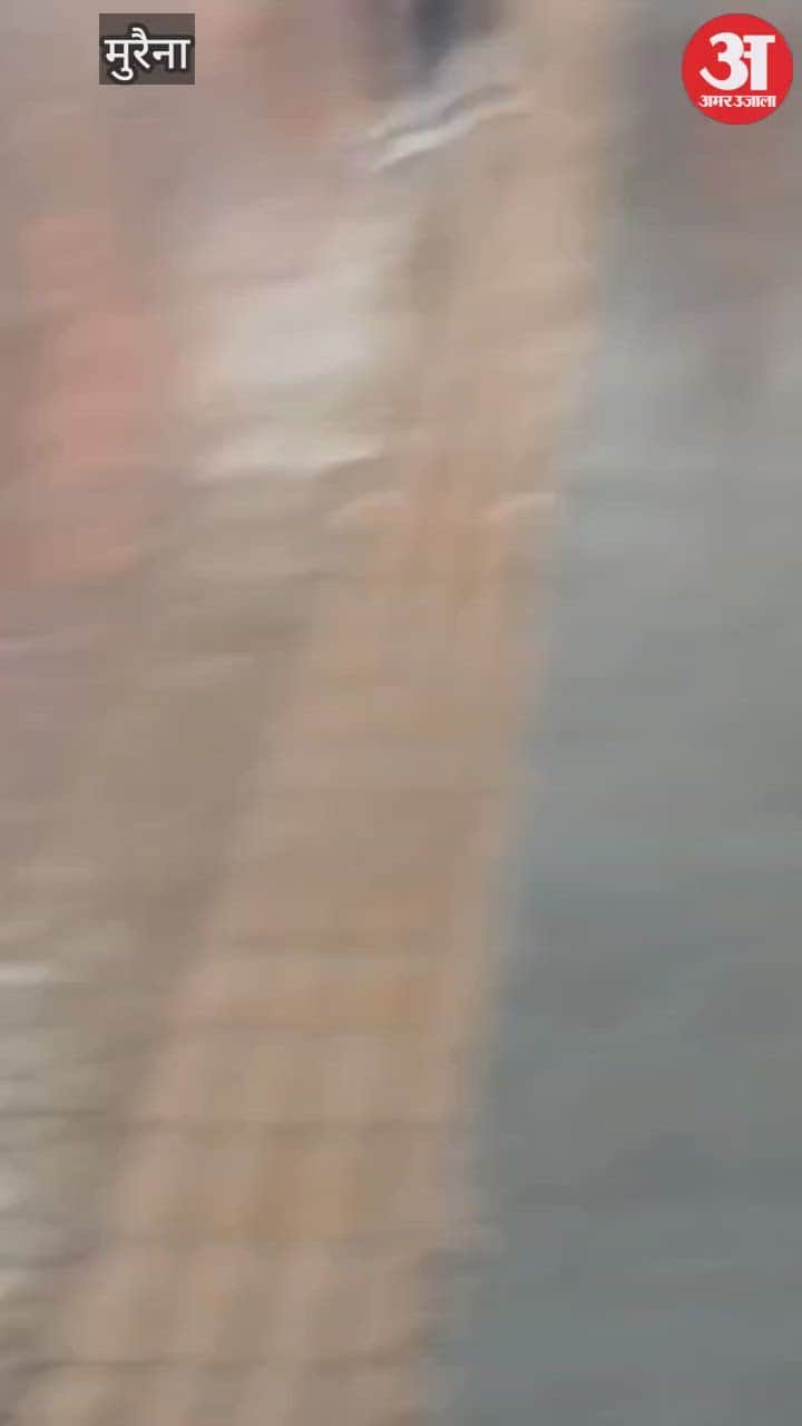 Morena News: Sword wielded in Chhattisgarh Express train, case registered against 6 Sardars