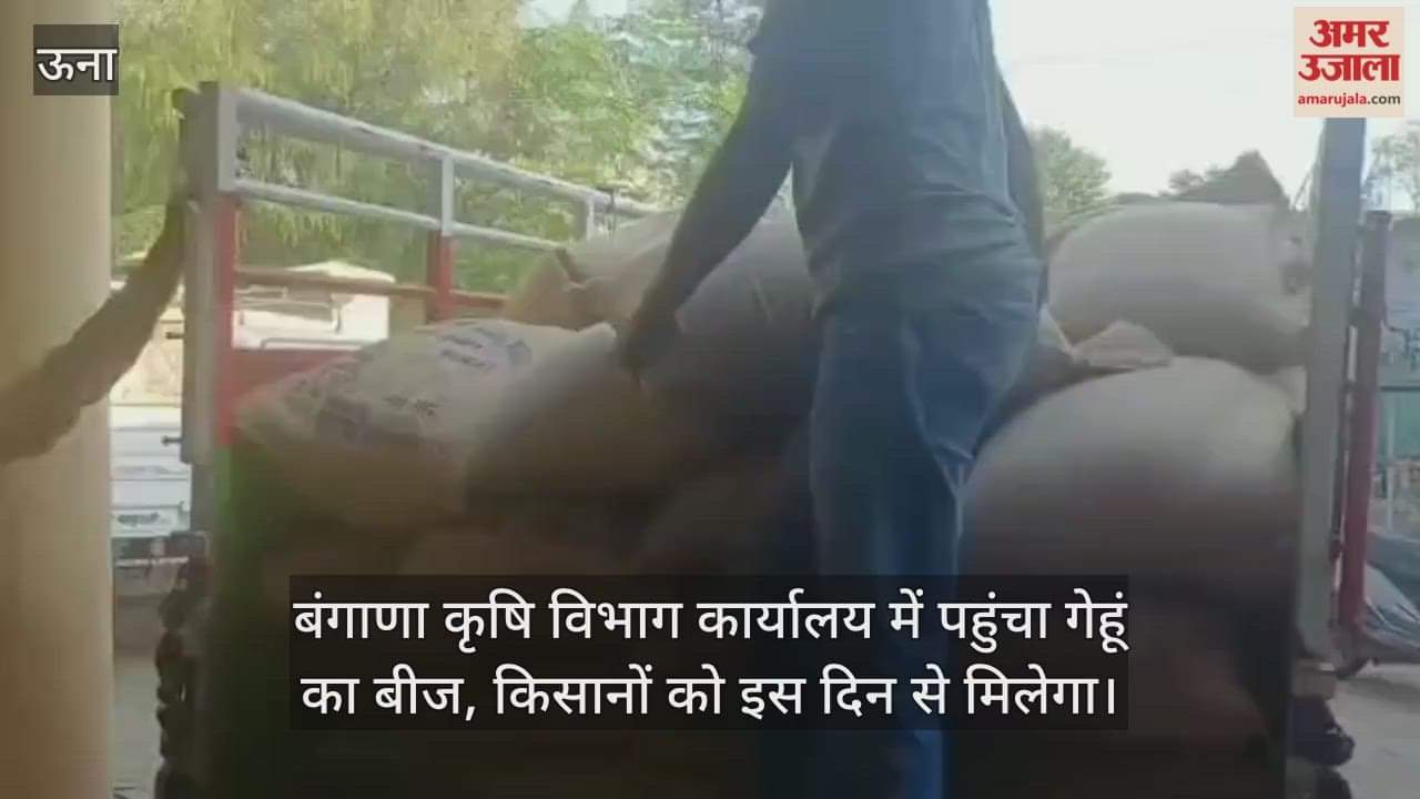 Wheat seeds reached Bangana Agriculture Department office, farmers will get them from this day