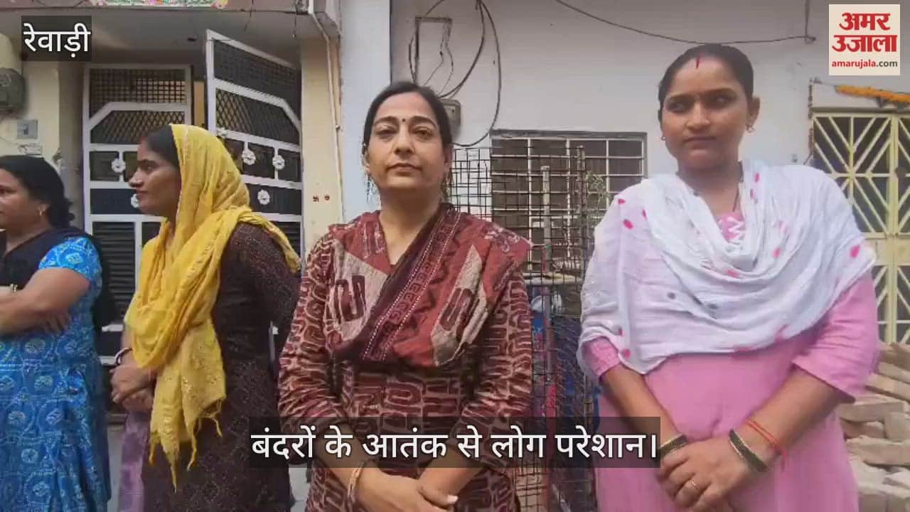 People are troubled by the terror of monkeys