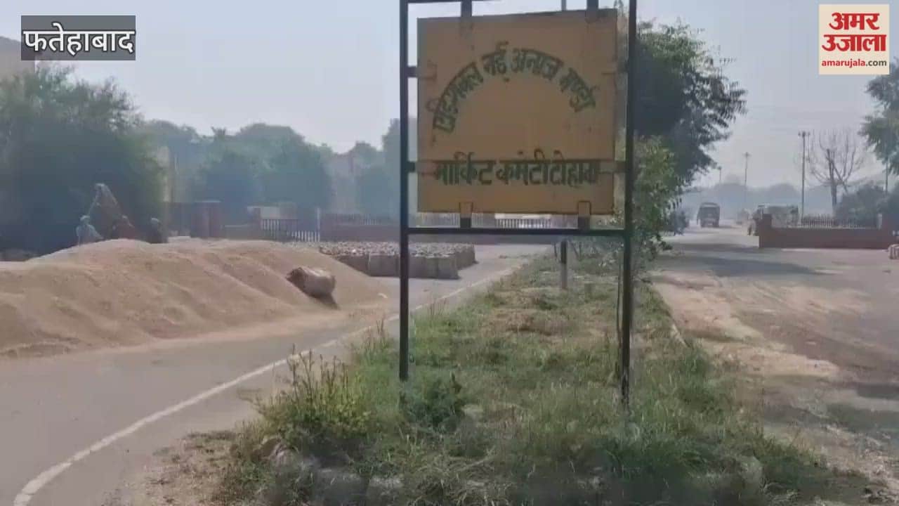 Patches put on the grain market gate in Tohana, Fatehabad by the Marketing Board have come off, farmers have alleged corruption