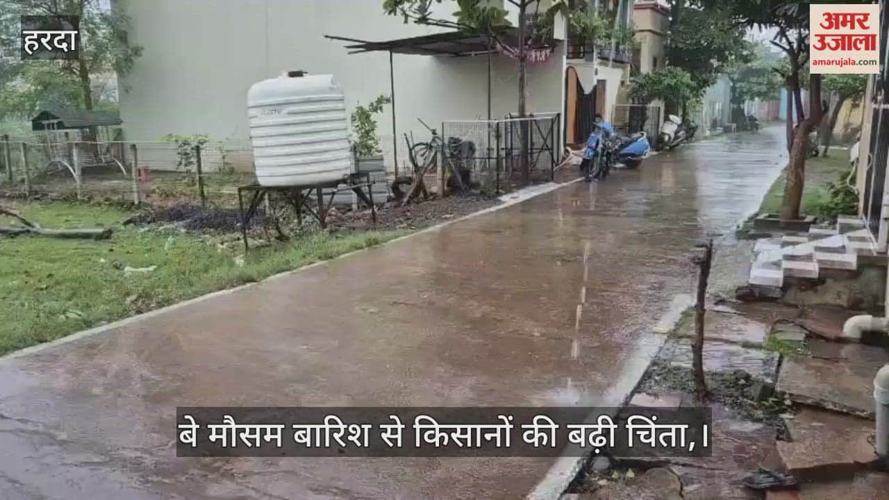 Harda News: Unseasonal Rain Raises Farmers' Worries, Stored Crops at Risk, Weather Department Issues Warning