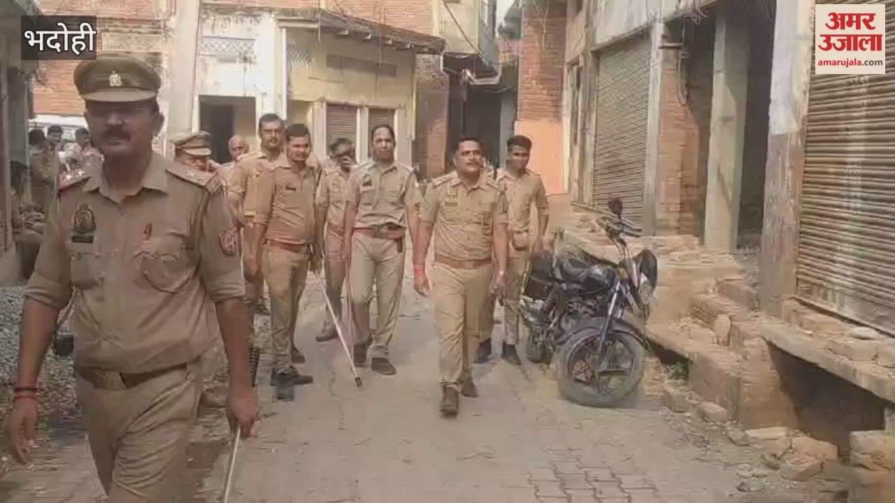 Police raid on illegal slaughterhouse VIDEO