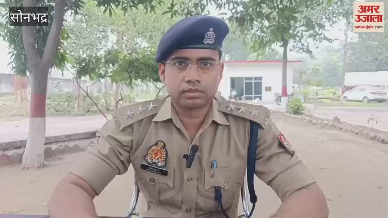 Both father and son taken into custody in assault case VIDEO