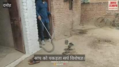 A snake entered the house and swallowed another snake leaving people stunned