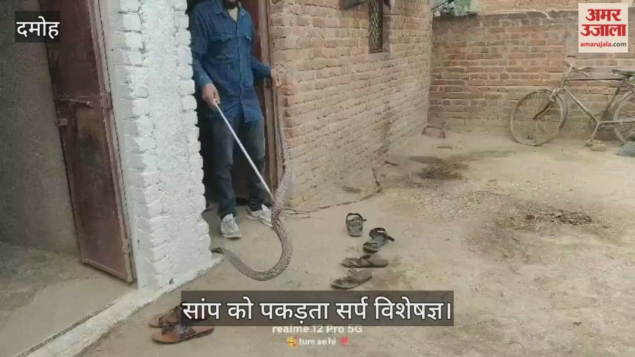 A snake entered the house and swallowed another snake leaving people stunned