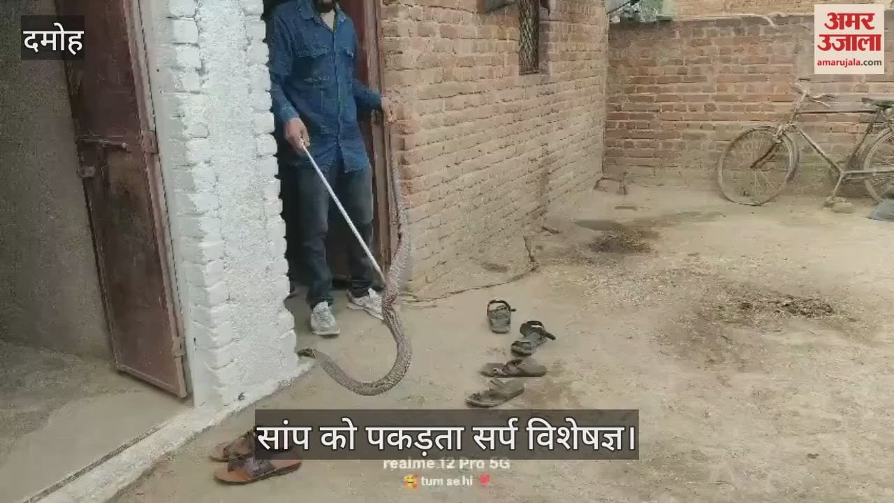 A snake entered the house and swallowed another snake leaving people stunned