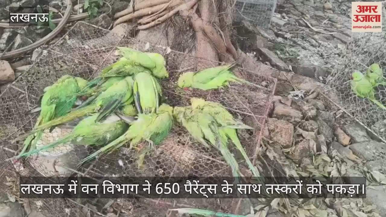 Video : लखनऊ में वन विभाग ने 650 पैरेंट्स के साथ तस्करों को पकड़ा