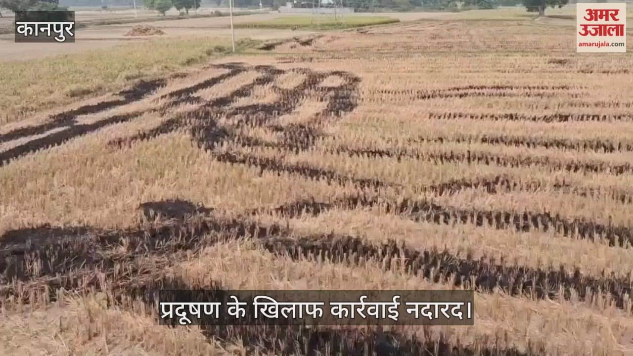 कानपुर: बिल्हौर में धान कटाई के बाद खुलेआम पराली जला रहे हैं किसान