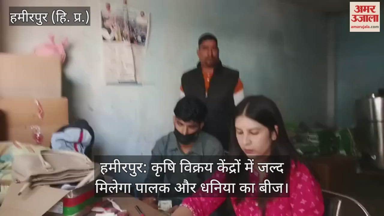 Hamirpur: Spinach and coriander seeds will soon be available at agricultural sales centers.