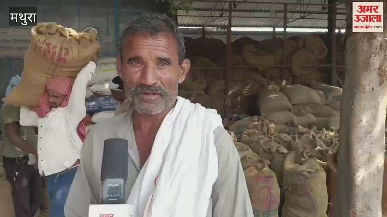Mathura market reopens after five days, paddy procurement resumes