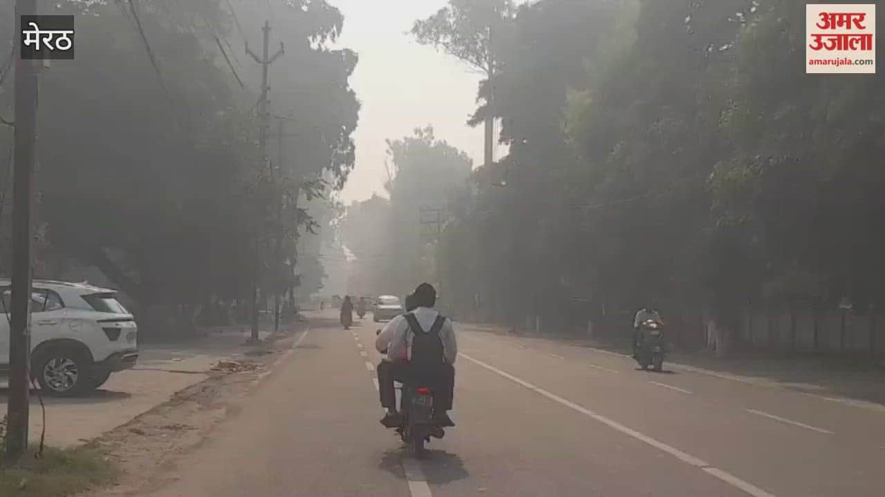 Meerut: Smog engulfs, respiratory patients in trouble