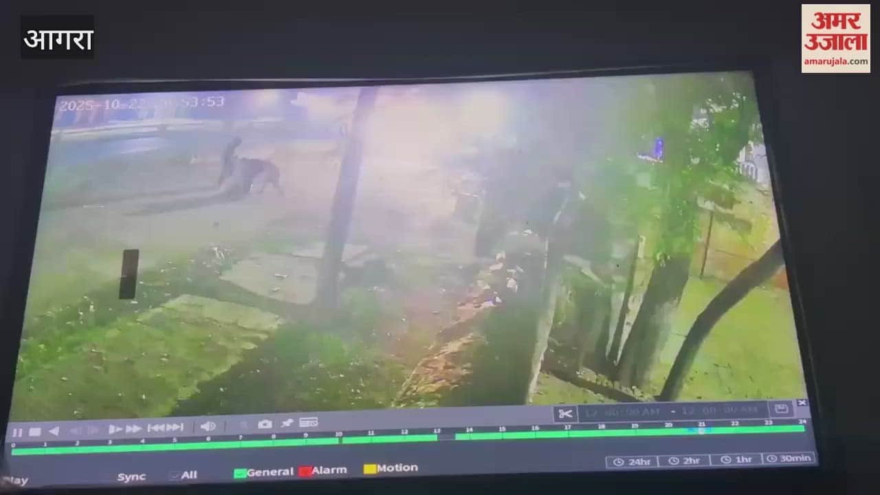 Youth dies while bursting crackers