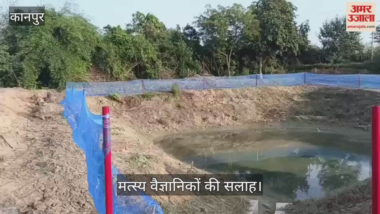 कानपुर: छोटा तालाब भी बना सकता है मालामाल, मछली बीज उत्पादन से लाखों कमा रहे किसान