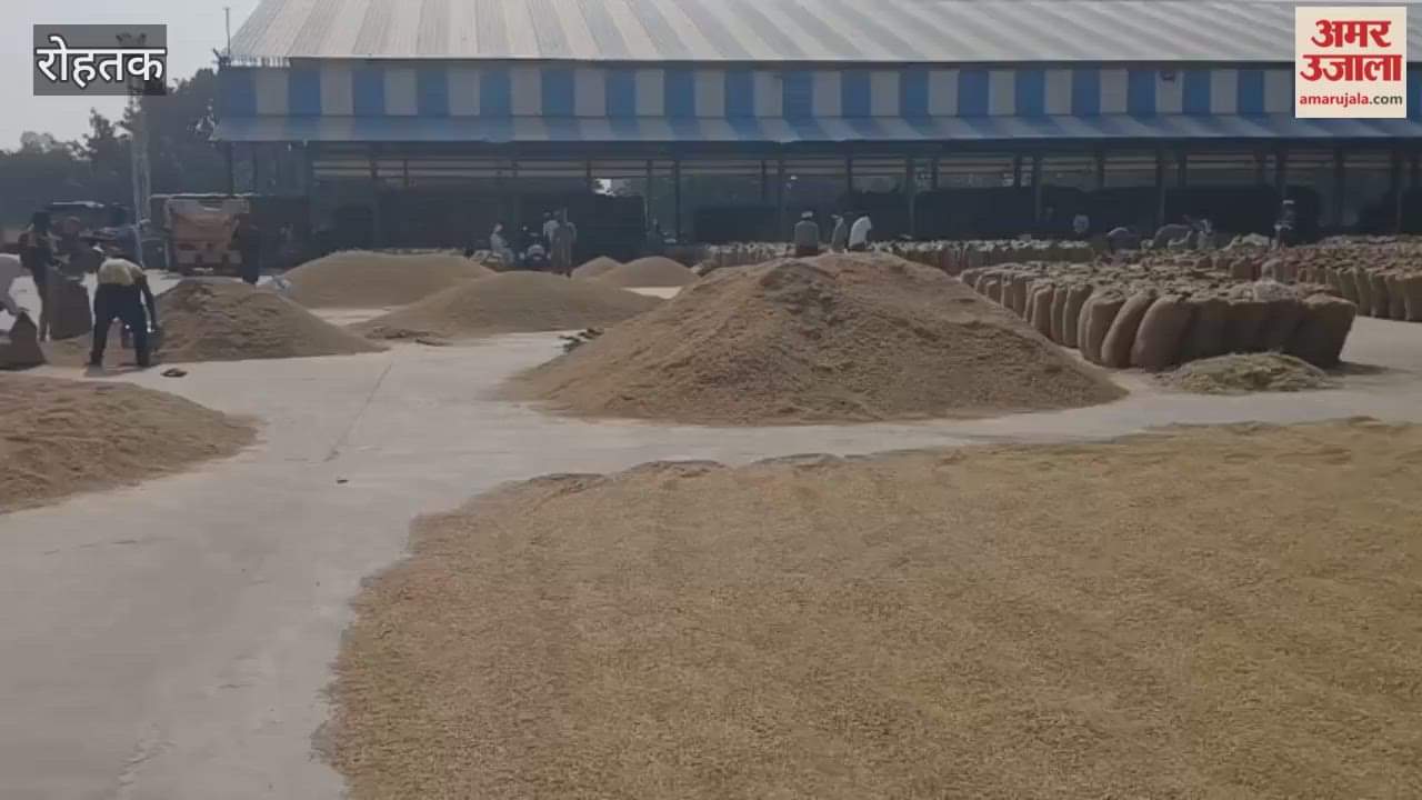 Arrival of paddy increased in Rohtak Mandi, purchasing capacity increased to 4000 quintals